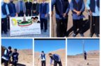 مسابقات سنتی چوپل بازی ، خروس جنگی ودوغل بازی در روستای سر آسیاب